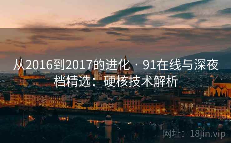 从2016到2017的进化 · 91在线与深夜档精选：硬核技术解析