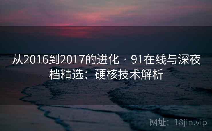 从2016到2017的进化 · 91在线与深夜档精选：硬核技术解析