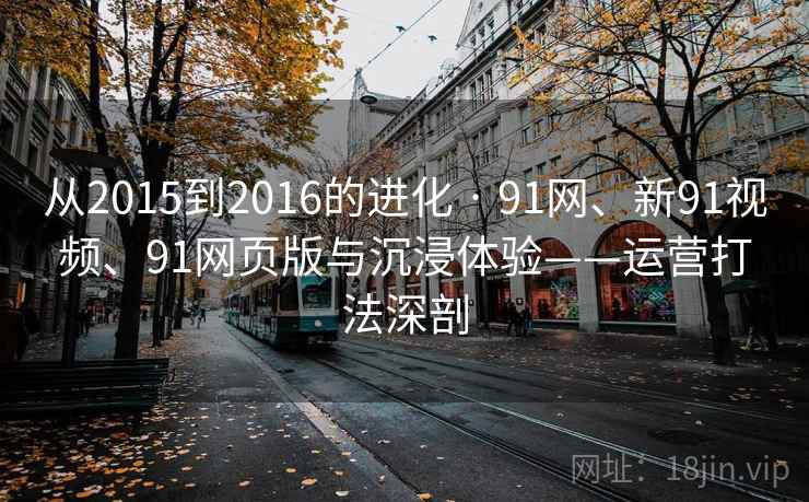 从2015到2016的进化 · 91网、新91视频、91网页版与沉浸体验——运营打法深剖