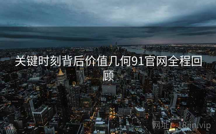关键时刻背后价值几何91官网全程回顾