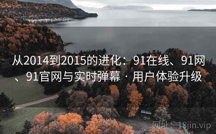 从2014到2015的进化：91在线、91网、91官网与实时弹幕 · 用户体验升级