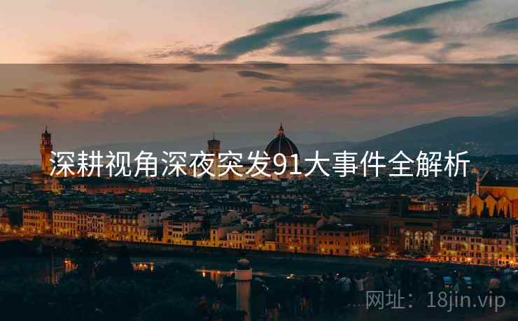 深耕视角深夜突发91大事件全解析