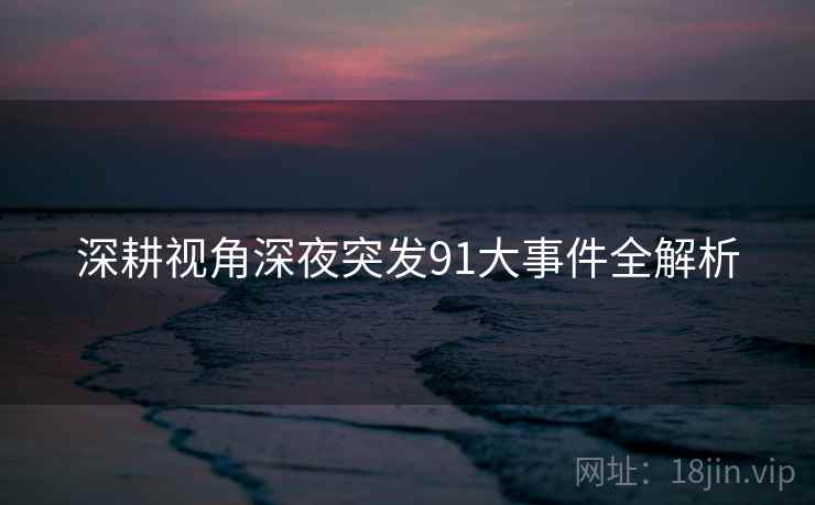 深耕视角深夜突发91大事件全解析