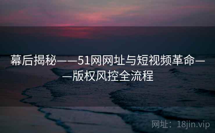 幕后揭秘——51网网址与短视频革命——版权风控全流程