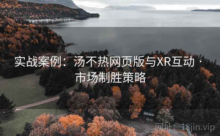 实战案例：汤不热网页版与XR互动 · 市场制胜策略