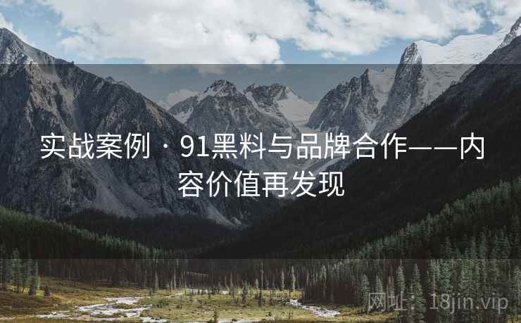 实战案例 · 91黑料与品牌合作——内容价值再发现