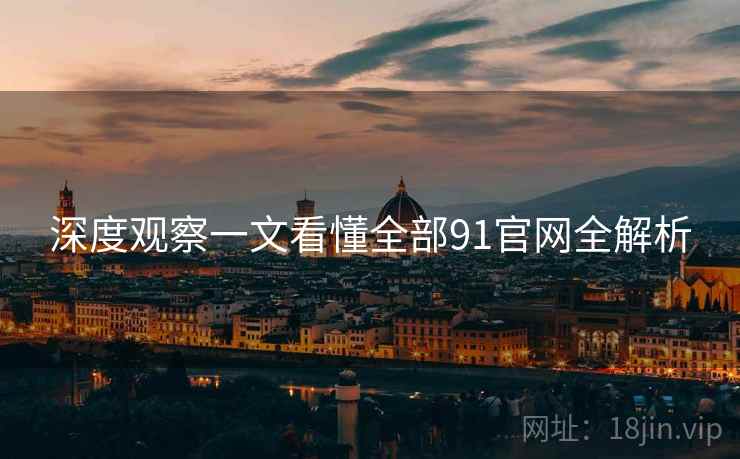 深度观察一文看懂全部91官网全解析