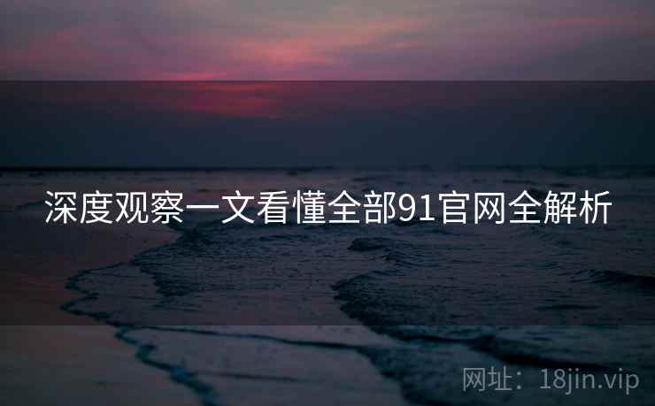 深度观察一文看懂全部91官网全解析