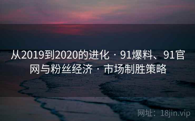 从2019到2020的进化 · 91爆料、91官网与粉丝经济 · 市场制胜策略