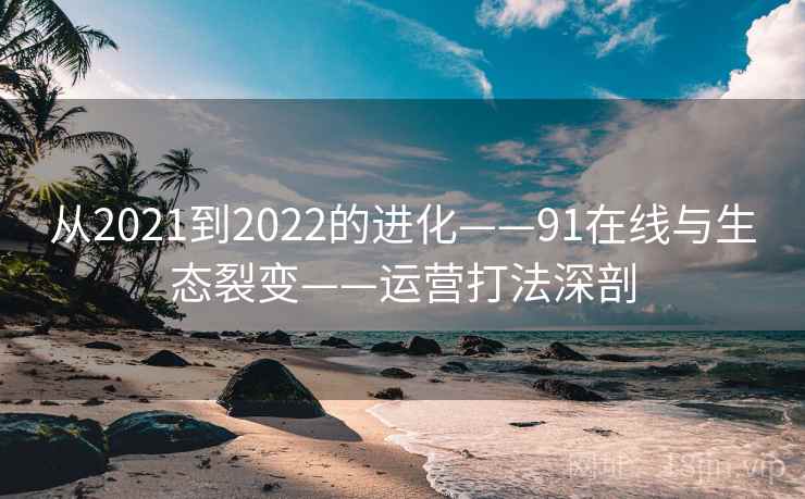 从2021到2022的进化——91在线与生态裂变——运营打法深剖