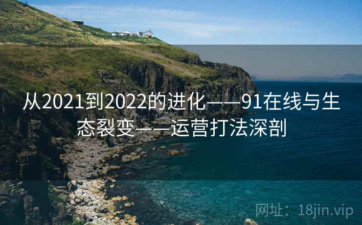 从2021到2022的进化——91在线与生态裂变——运营打法深剖