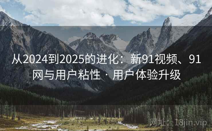从2024到2025的进化：新91视频、91网与用户粘性 · 用户体验升级