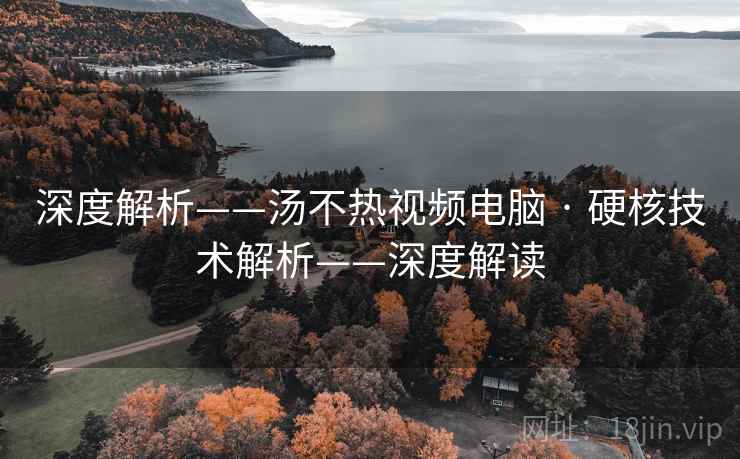 深度解析——汤不热视频电脑 · 硬核技术解析——深度解读