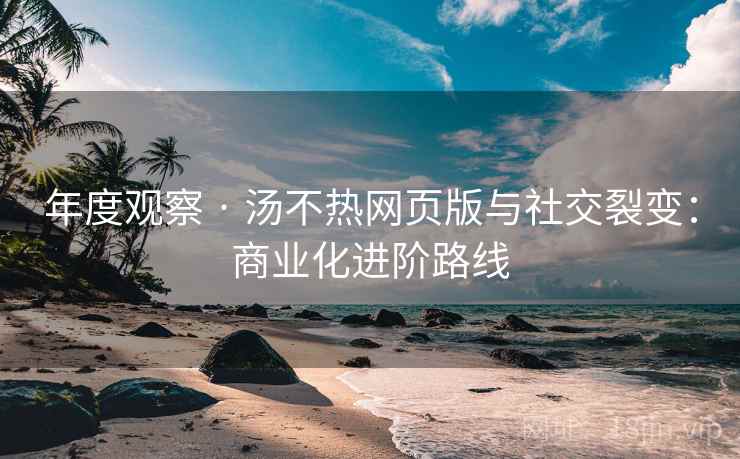 年度观察 · 汤不热网页版与社交裂变：商业化进阶路线